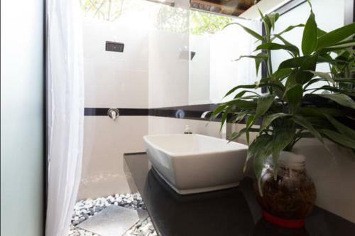 Hostal New Danas Canggu Guest House
