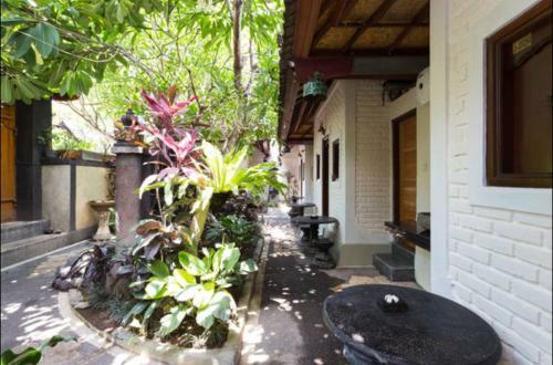 Hostal New Danas Canggu Guest House