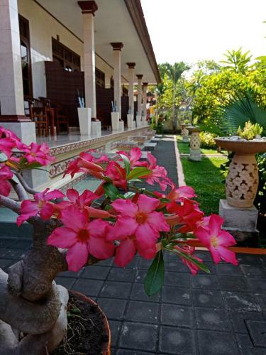 Bed & Breakfast Frangipani Homestay
