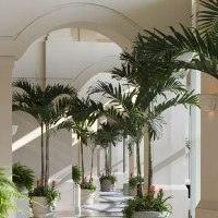 Hotel Grand Hyatt Tampa Bay