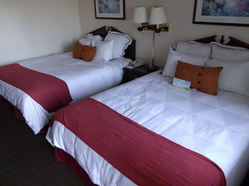 Hotel Econo Lodge & Suites