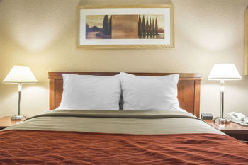 Hotel Comfort Inn - London