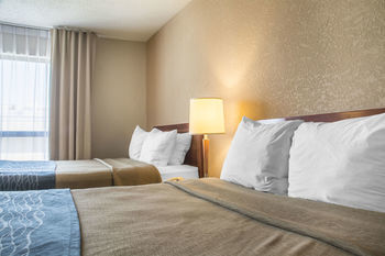 Hotel Comfort Inn - London