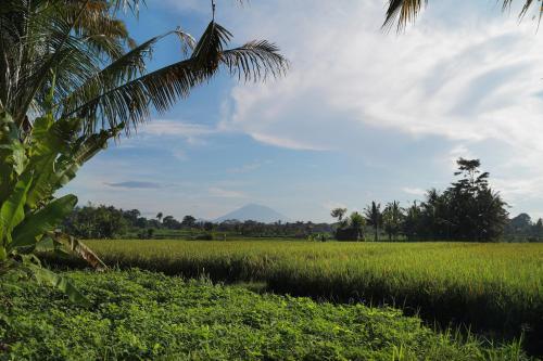 Samkhya Villas