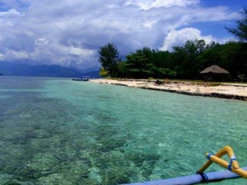 Hostal Cha Cha Bungalows