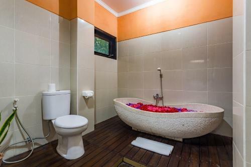 Hotel Anini Raka Resort & Spa