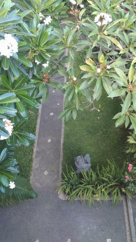 Hostal Suryadina Guest House