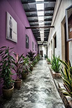 Albergue Raizzy's Guesthouse