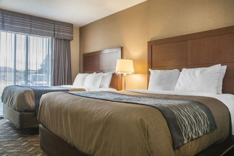 Hotel Comfort Inn & Suites Ambassador Bridge