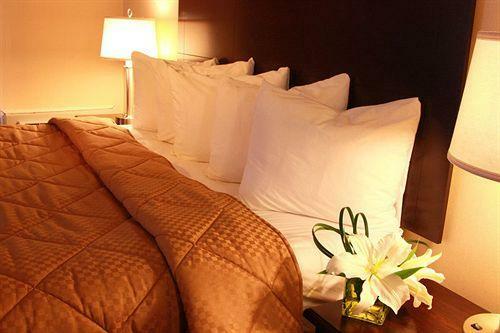 Hotel Comfort Inn & Suites Ambassador Bridge