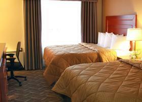 Hotel Comfort Inn & Suites Ambassador Bridge