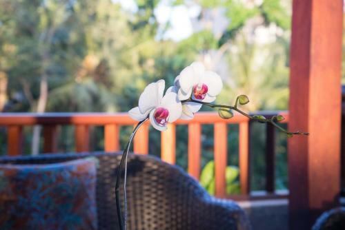 Hostal Kano Sari Ubud Villas