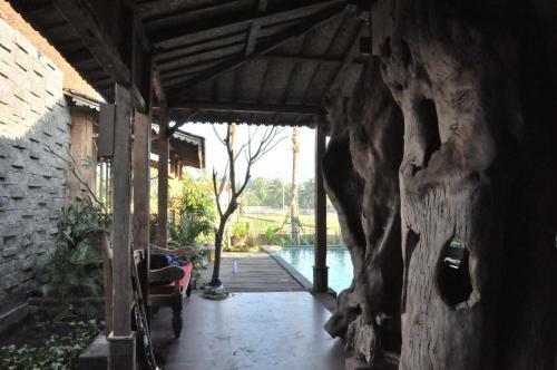 Ubud Virgin Villa