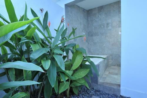 Aparthotel Bali Yarravillas