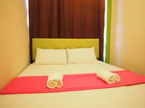 Albergue Milky Coat & Sunny Side
