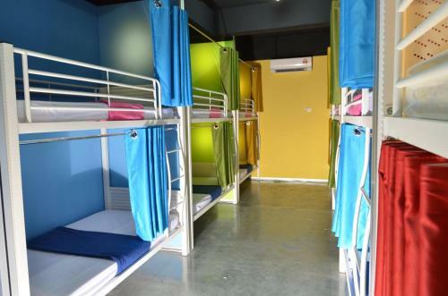 Albergue Milky Coat & Sunny Side