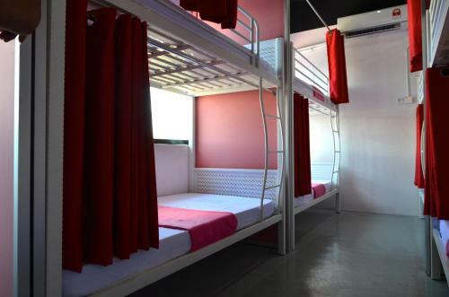 Albergue Milky Coat & Sunny Side