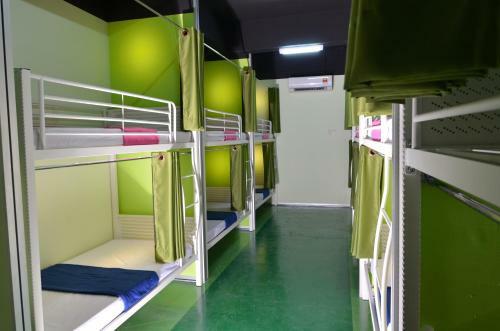 Albergue Milky Coat & Sunny Side