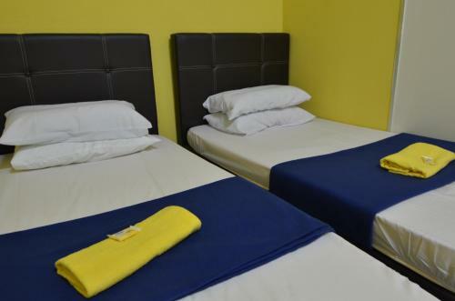Albergue Milky Coat & Sunny Side