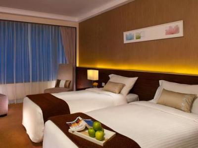 Hotel City Garden (premier)