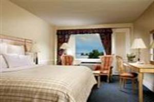 Hotel Four Points By Sheraton Toronto Lakeshore
