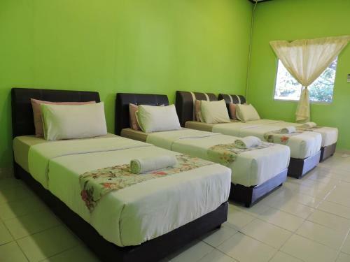 My Rainforest Hotel At Cenang Beach