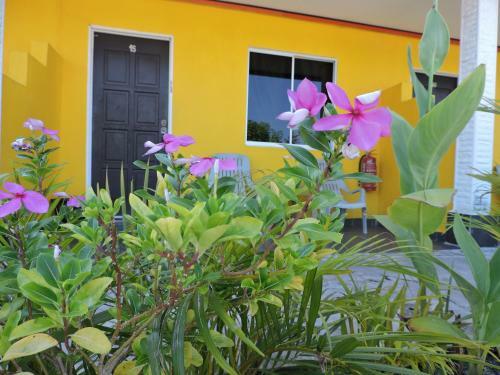 My Rainforest Hotel At Cenang Beach