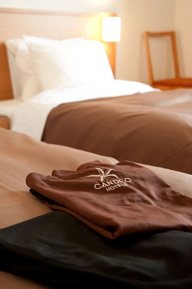 Candeo Hotels Ueno Park
