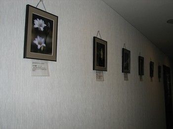 Posada Hakuba Glad Inn Ebisuya