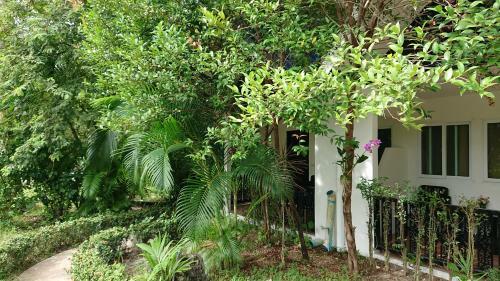The Krabi Forest Homestay