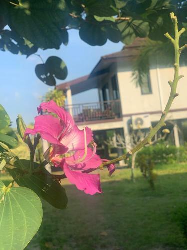 Hotel The Hip Resort @ Khao Lak