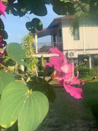 Hotel The Hip Resort @ Khao Lak