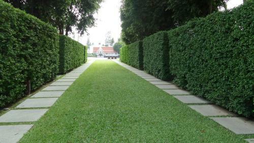 Apartamentos The Allamanda - Unit 1108