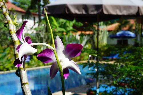 Hotel Bangtao Varee Beach
