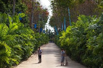 Wings Phuket Villa By Two Villas Holiday