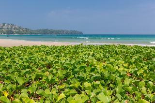 Hotel Sunwing Resort & Spa Bangtao Beach