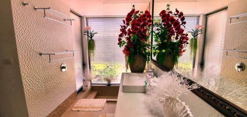 Aparthotel Casuarina Shores Apartment