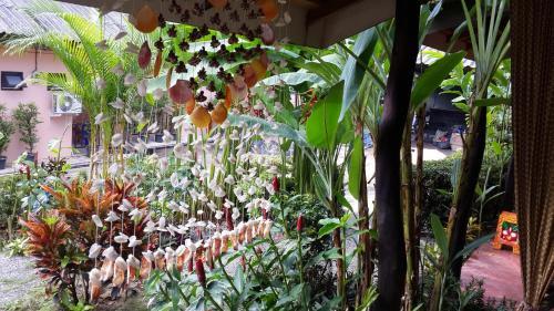 Bed & Breakfast Les Fleurs House