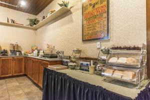 Hotel Quality Inn And Suites Downtown