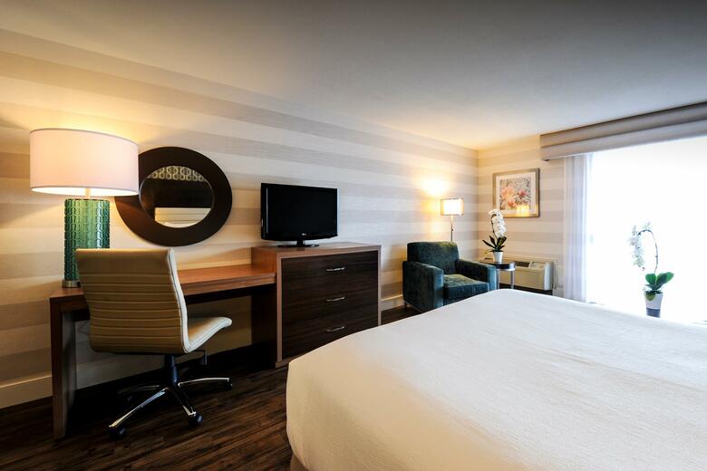 Hotel Holiday Inn Niagara Falls-by The Falls