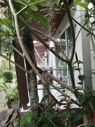 Hotel Naiyang Boutique Resort