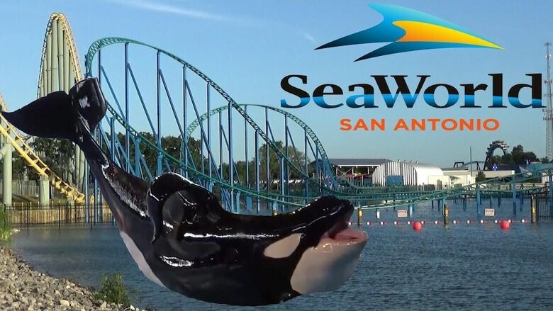 Hotel Rodeway Inn Lackland Afb/sea World