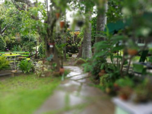 Hotel Baan Bua Guest House