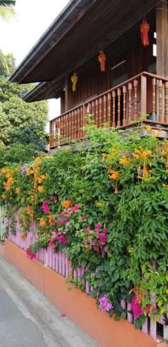Albergue Shakara Garden