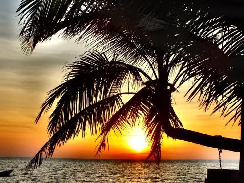 Hotel C&n Kho Khao Beach Resort