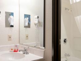 Hotel Ramada Inn Dfw North