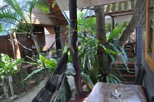 Hotel Lanta New Coconut Bungalow