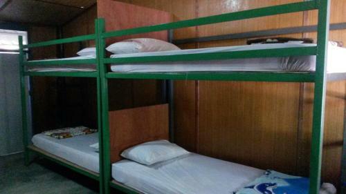 Funky Fish Hostels