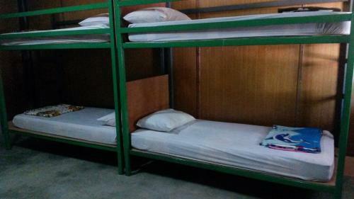 Funky Fish Hostels