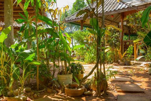 Hotel Lanta Coral Beach Resort